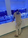 老皮