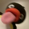 Nick隊