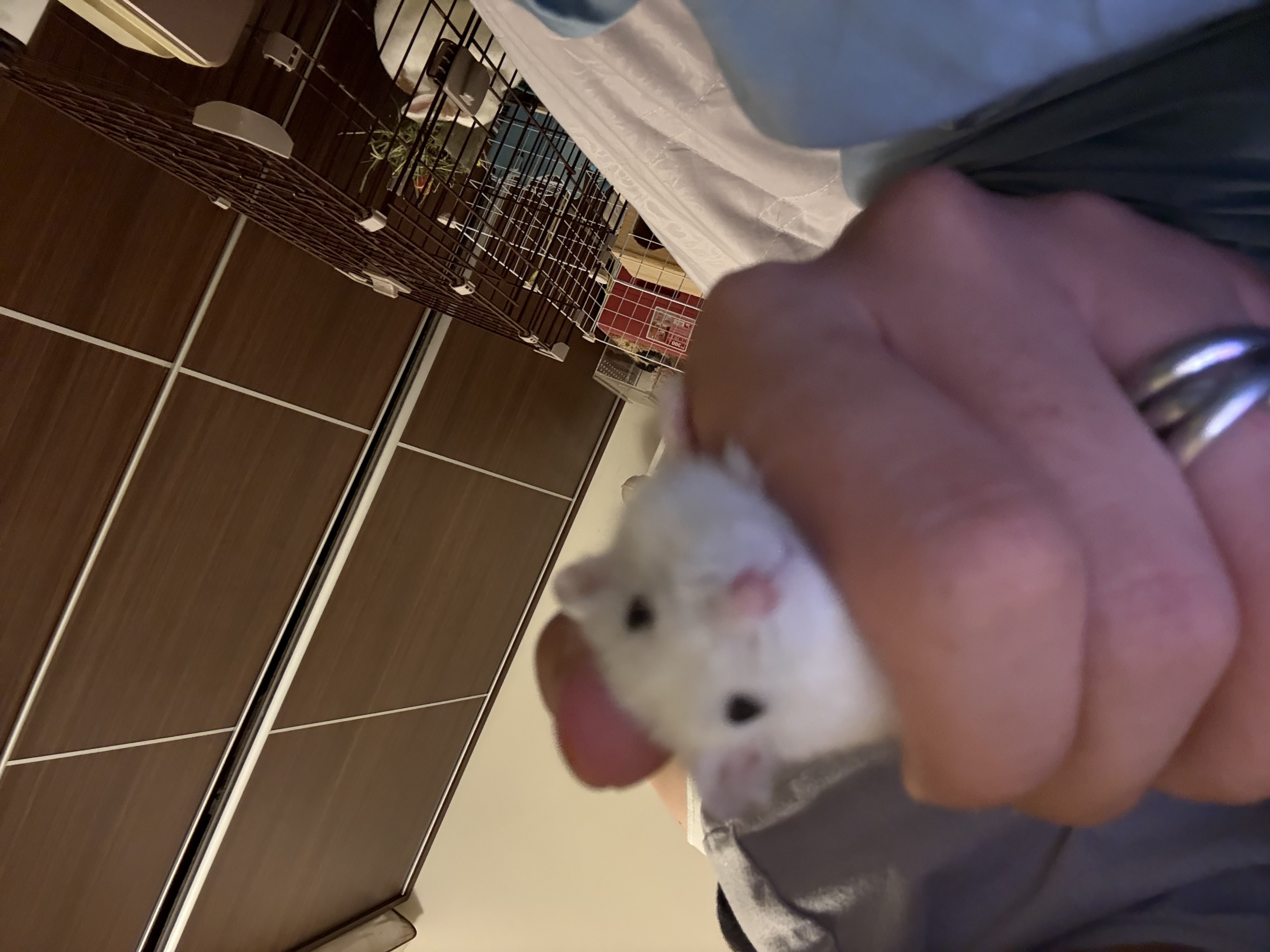 翰.