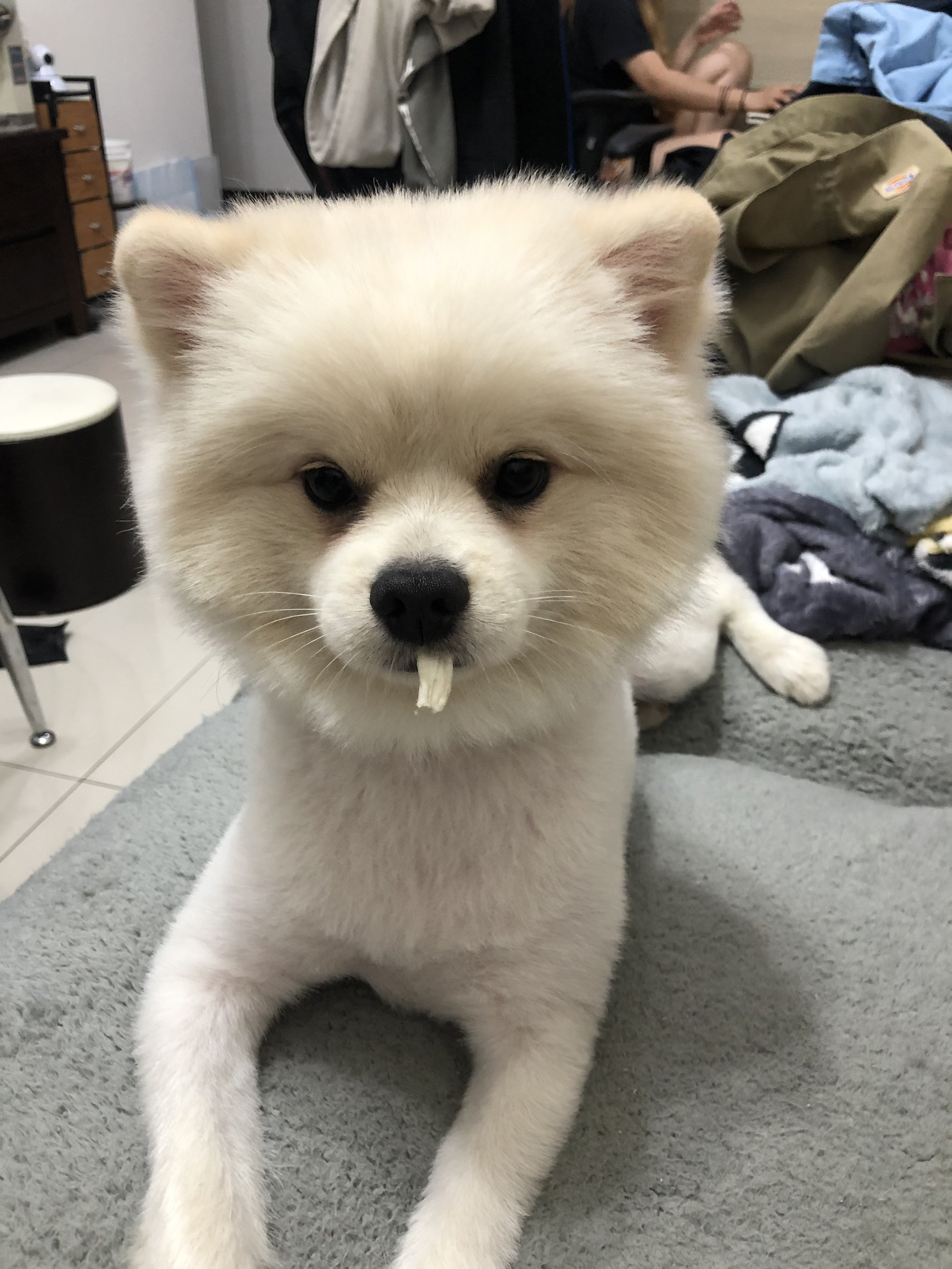 螺賴拔